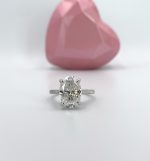 Rosie Proposal/Engagement Ring